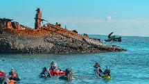 Best Wrecked - Tangalooma Wrecks Guided Snorkelling Tour From Brisbane